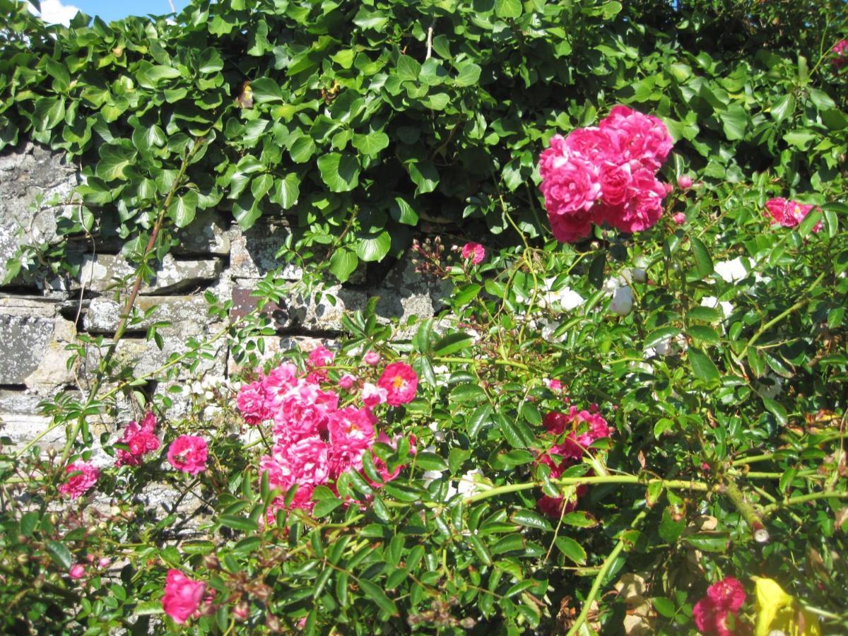 Colebrook Cottage Isle of Whithorn ภายนอก รูปภาพ